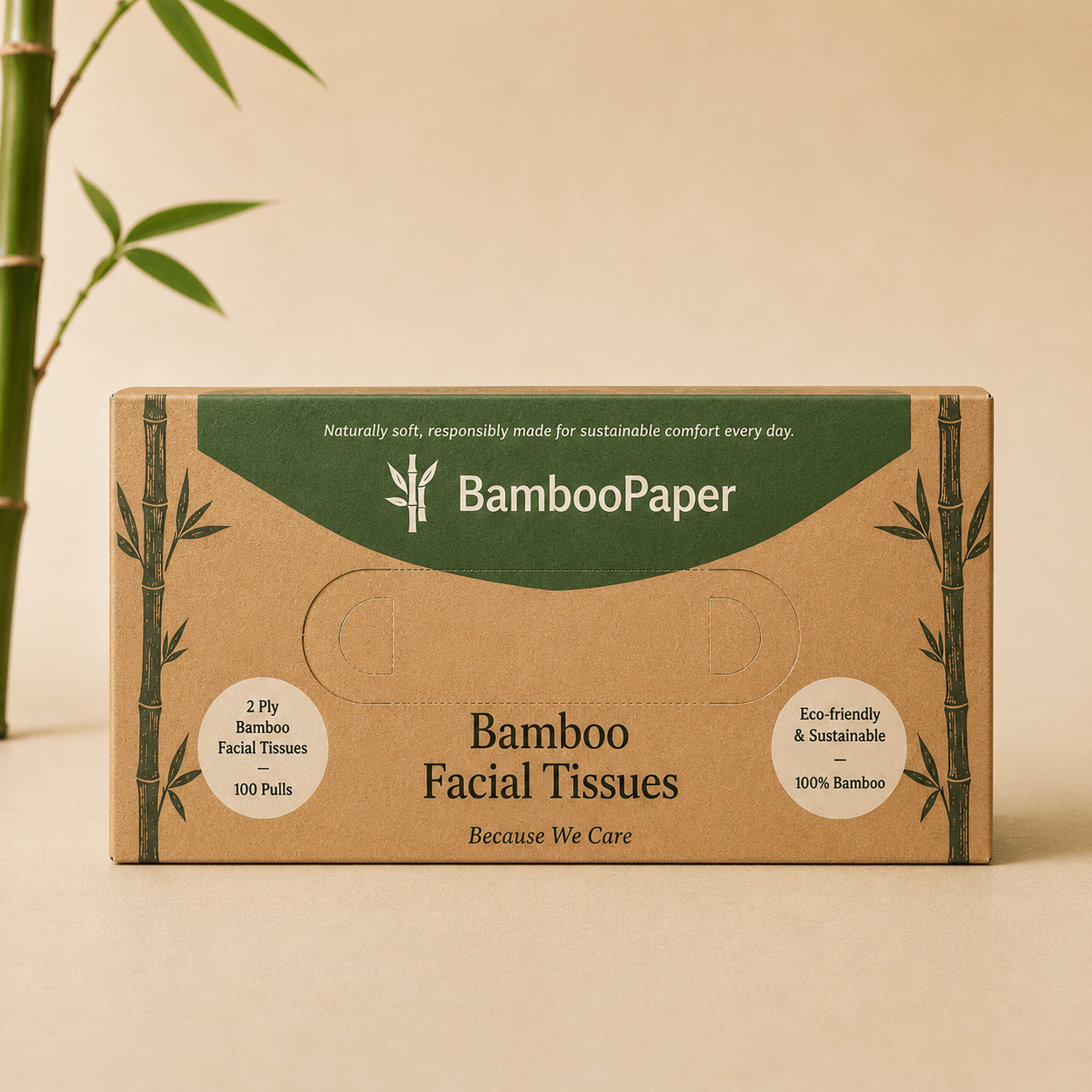 Bamboo Facial Tissue Box — 100 Pulls — standard